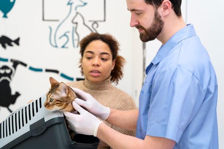 Por que realizar exame de raio-x no seu animal de estimação?