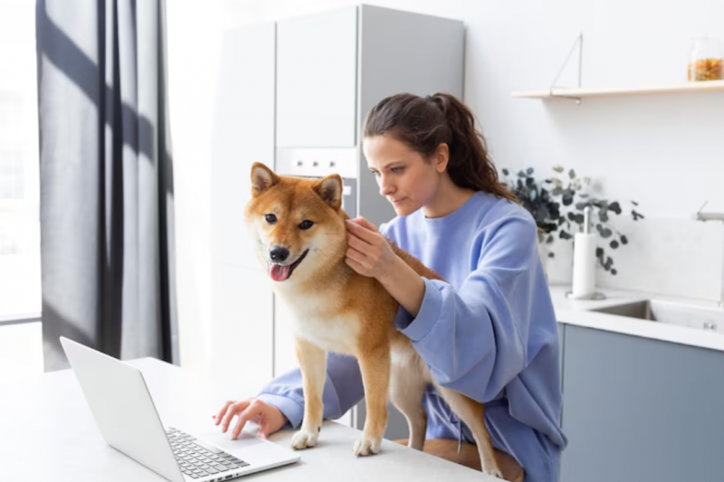 Clínica Veterinária 24h: Cuidados Essenciais para Seu Pet Sempre ao Seu Lado Clínica Veterinária 24h: Cuidados Essenciais para Seu Pet Sempre ao Seu Lado