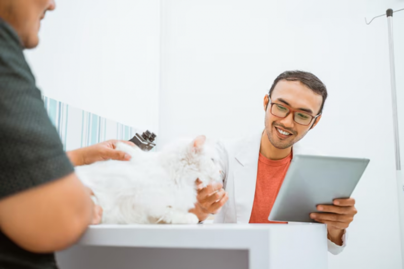 Veterinário popular: Acesso a Cuidados de Saúde para Pets Veterinário popular: Acesso a Cuidados de Saúde para Pets