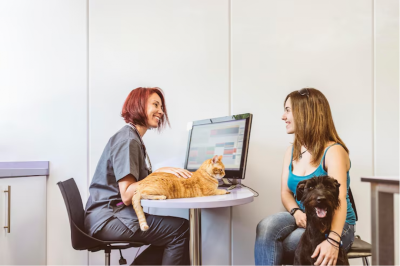 Veterinário Valinhos: Encontre o Melhor Atendimento para o Seu Pet Veterinário Valinhos: Encontre o Melhor Atendimento para o Seu Pet