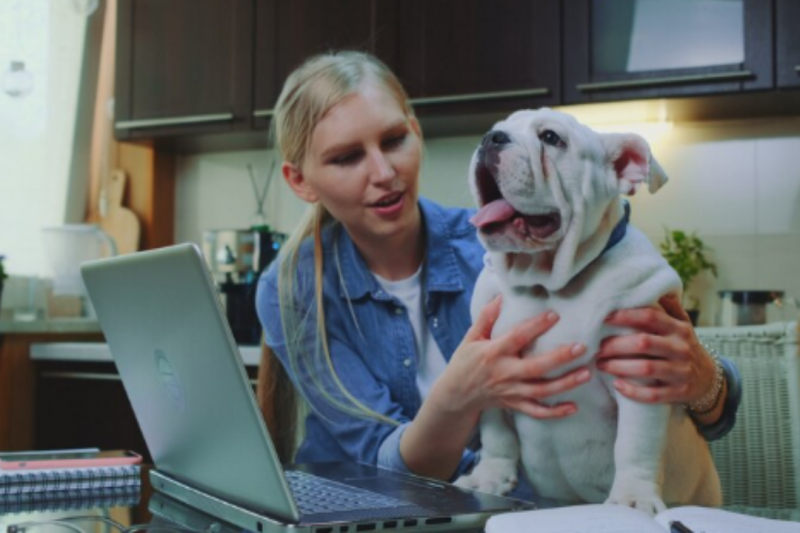 Encontre a Clínica Veterinária Mais Próxima de Mim com Dicas Essenciais