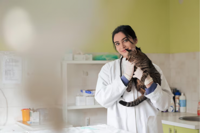 Nutrologia Veterinária Como Aumentar a Saúde dos Animais Nutrologia Veterinária Como Aumentar a Saúde dos Animais