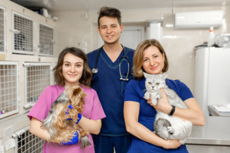 Cardiologista para Animais Clínica Parque Industrial - Endocrinologista Animal Campinas