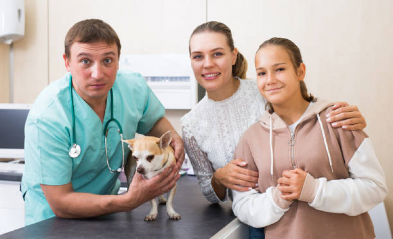 Endocrinologista para Animais Clínica Taquaral - Gastroenterologista para Animais