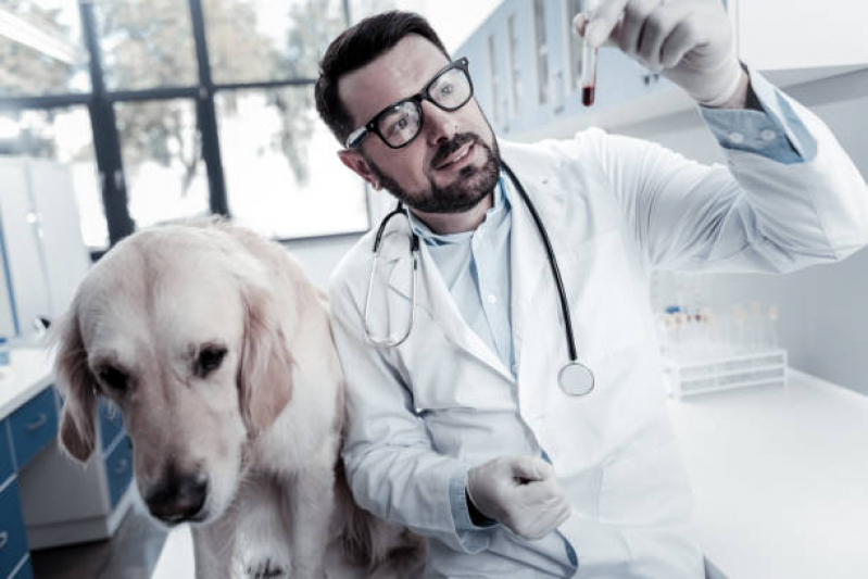 Exame de Sangue Pet Parque das Flores - Exame de Hemograma para Animais