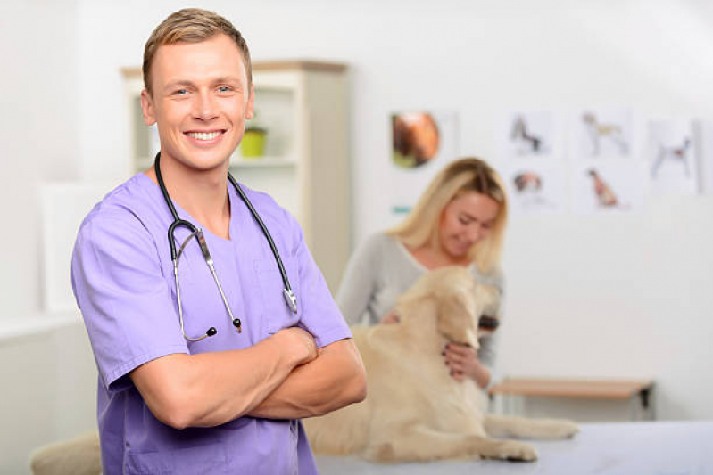Gastrologista para Animais Clínica Jardim Nossa Senhora Auxiliadora - Oftalmologista para Cachorro