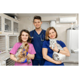 cardiologista para animais clínica Vila Carlito