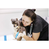 clínica veterinária 24 horas contato Vila IAPI