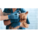 endereço de veterinário para cachorros Vila Maria[4]