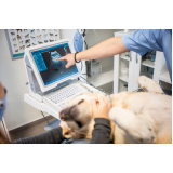 exame de ultrassom em cachorro marcar Monte Mor