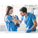 preço de exame de eletrocardiograma em cães e gatos Jardim New York (ou Nova Iorque)
