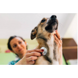 telefone de clínica veterinária animal Vila Marta